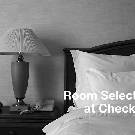 Hotel 7 Saisons Montreal Phòng bức ảnh