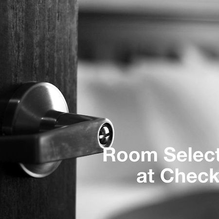 Hotel 7 Saisons Montreal Phòng bức ảnh